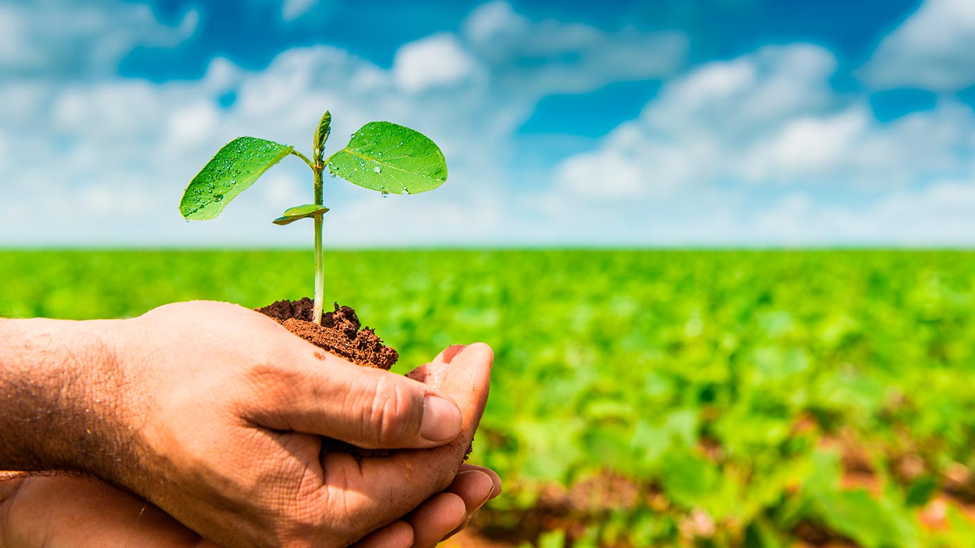 Control documental en agroindustria